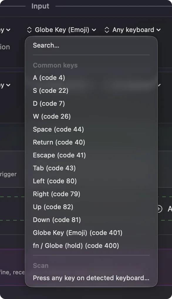 The key menu in the editor listing Globe Key (Emoji) and fn / Globe (hold) under the common keys.